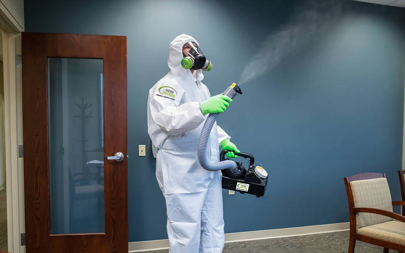 Best Home Sanitizer Control Cleaning Services In Delhi